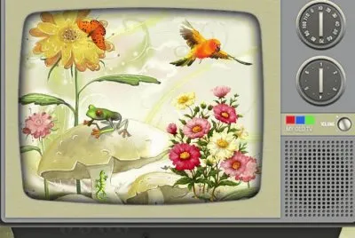 tv