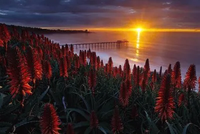 Campo y Sol