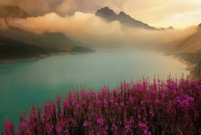 natureza