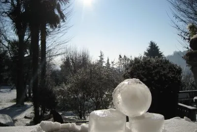 Snow in Winter