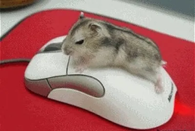 Ratones