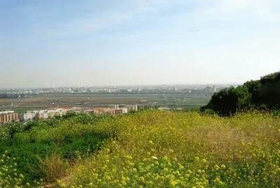 el canrabolo