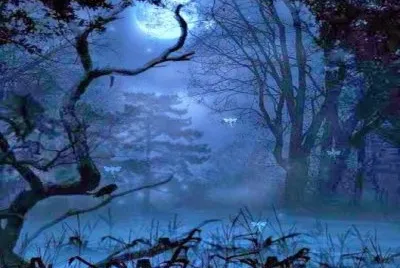 Bosque encantado jigsaw puzzle