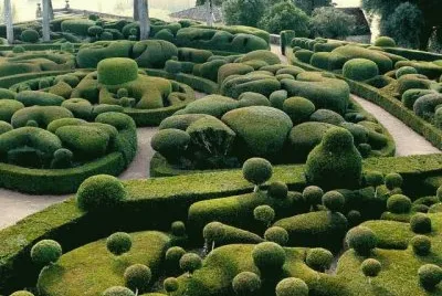 TODO VERDE