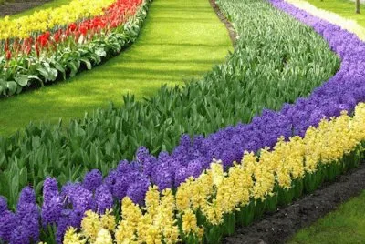 23 Primavera