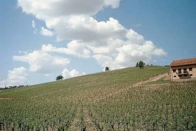 Vigna ad Agliano Terme