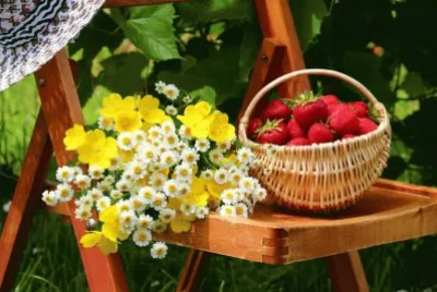 Strawberry Fruit Basket