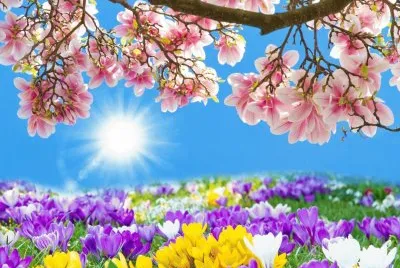 Beautiful Spring Morning