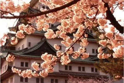 spring 40 jigsaw puzzle