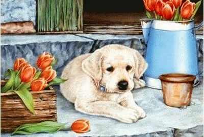 Pintura