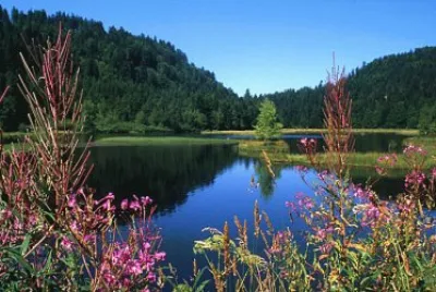 lac de lispach