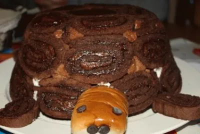 Una tortuga buenisima jigsaw puzzle