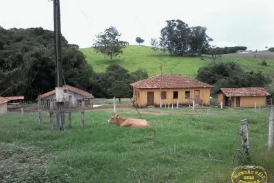 campo