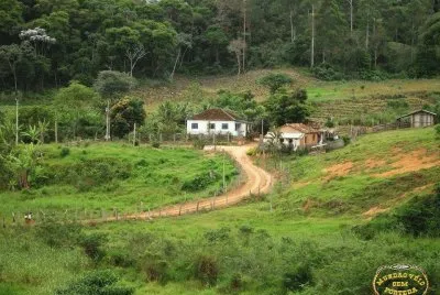 campo