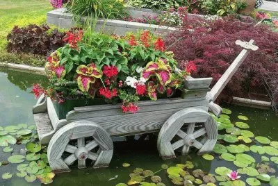 jardim