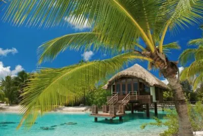 ile jigsaw puzzle
