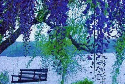 banc jigsaw puzzle