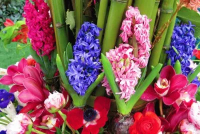 28 de abril
