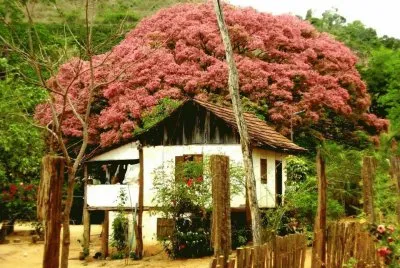 casa