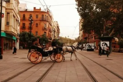 sevilla14 jigsaw puzzle