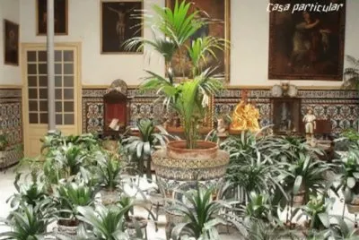 patio3