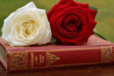 Rose and Book