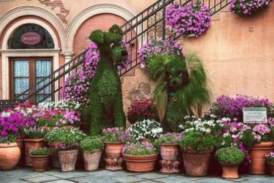 Dogs and Flowers