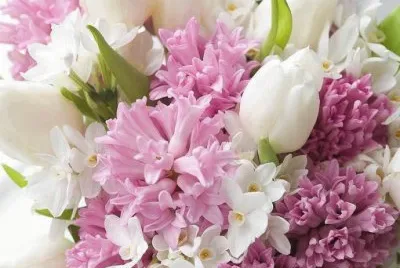- flores de inexplicaveis beleza,(17)