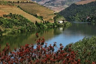 - douro- portugal