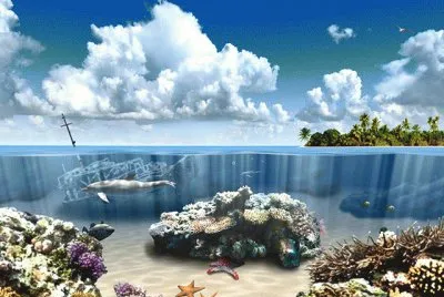 Coral Reef
