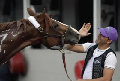 California Chrome