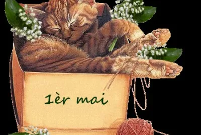 chat