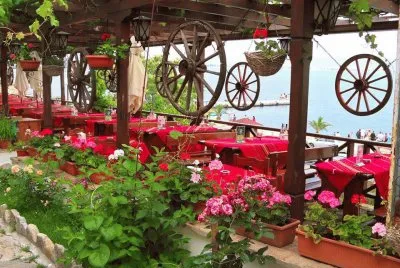 flores
