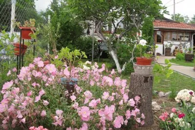 jardim