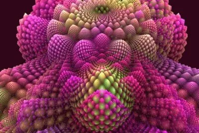 Fractal