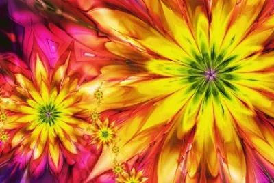 Bright Flowers