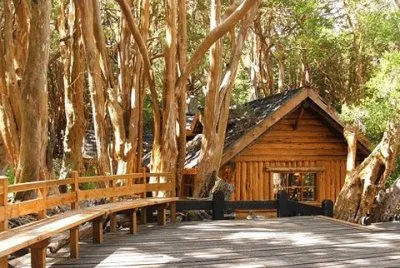- Parque Nacional, el bosque de los arrayanes