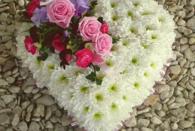 - rosas