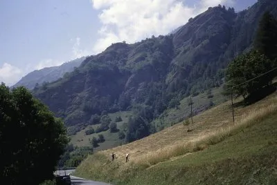Fienagione a Casteldelfino