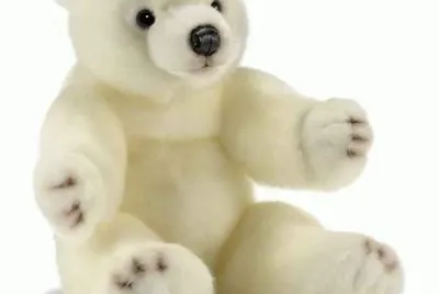 ours en peluche