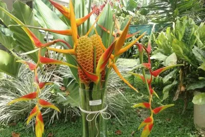 פאזל של Ramillete de Flores Exoticas