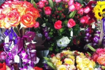 California Flower Mall-Los Angeles