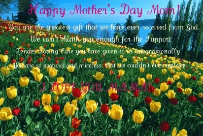 â™¥Happy Mothers Day Tulip Gardenâ™¥