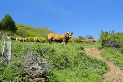 PAISAJE