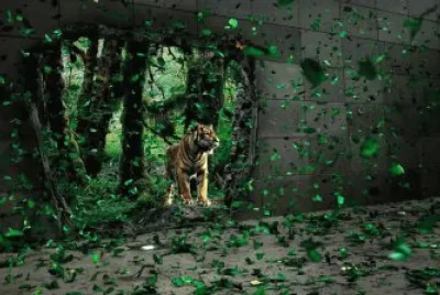tigre