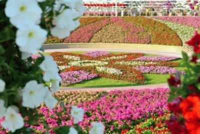 jardim jigsaw puzzle
