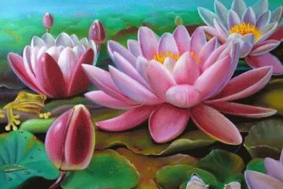 Pond Lilies