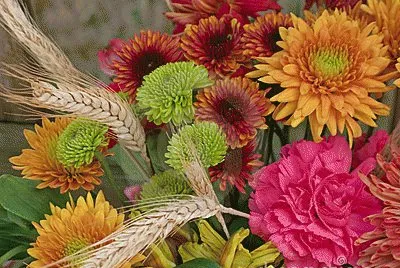 flores de outono
