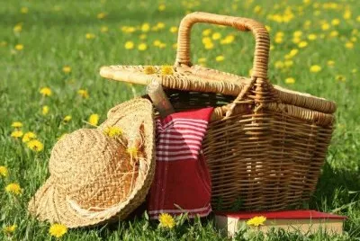 Pic-Nic
