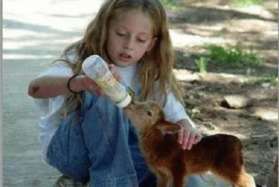 - quem ama cuida